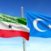 East Turkistan government-in-exile expresses solidarity with Somaliland amid growing China–Somalia alignment
